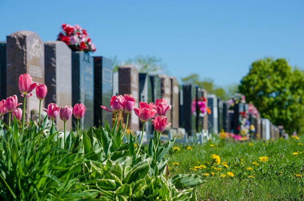 cimetière à fleur